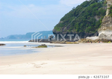 白砂の海岸 白砂の海岸 42873107