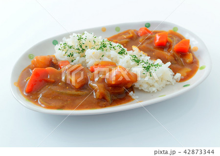 おいしそうなカレーライス おいしそうなカレーライス 42873344