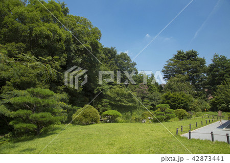 目黒区立　菅刈公園　和館　復原庭園 42873441