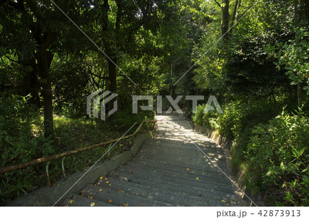 目黒区立　西郷山公園 42873913