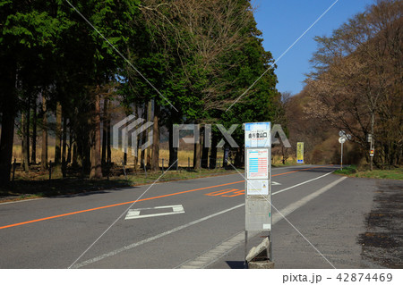 大分県　由布登山口バス停 42874469
