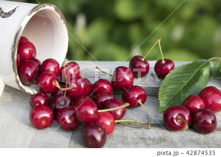 Fresh sweet cherries bowl with leaves Fresh sweet cherries bowl with leaves 42874535