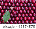 Fresh sweet cherries bowl with leaves 42874575