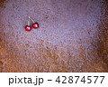Fresh sweet cherries bowl on grunge rust background 42874577