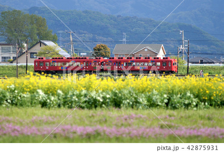 春の風景 42875931