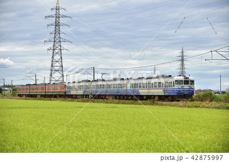 越後線　岩室－北吉田　JR東日本　115系　N35編成（新潟）＋N38編成（新潟） 42875997