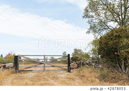 Closed old wooden gate 42878053