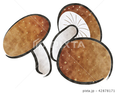 しいたけ 42878171