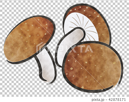 しいたけ 42878171