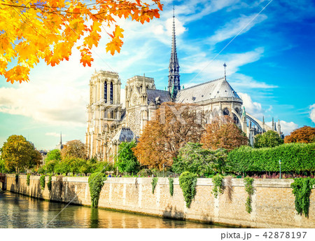 Notre Dame cathedral, Paris France Notre Dame cathedral, Paris France 42878197