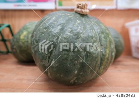 かぼちゃ 42880433