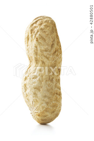 peanuts on white 42880501