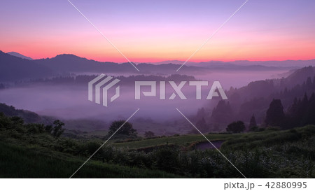 星峠の棚田 （朝景） 42880995