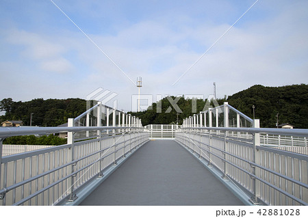 開通 国道298号いちかわ道の駅近く歩道橋 開通 国道298号いちかわ道の駅近く歩道橋 42881028