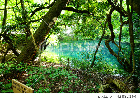 丸池様　山形県　池 42882164