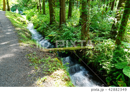 鳥海山 元滝伏流水 鳥海山 元滝伏流水 42882349