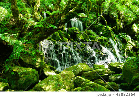 鳥海山 元滝伏流水 42882364