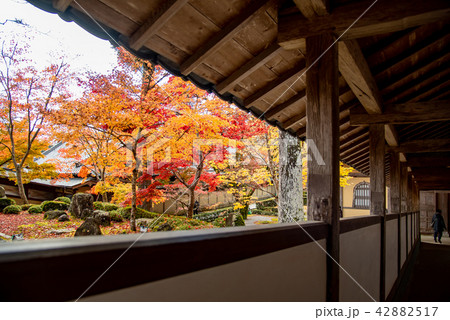 写真素材: 锦秋の永源寺 石庭 庭 廊下