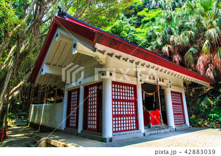 佐多岬 御崎神社 【鹿児島県】 佐多岬 御崎神社 【鹿児島県】 42883039