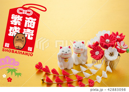 年賀状2019 42883098