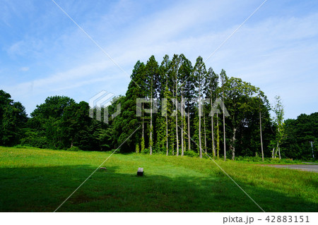 獅子ヶ鼻湿原 東北 秋田県 獅子ヶ鼻湿原 東北 秋田県 42883151