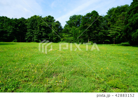 獅子ヶ鼻湿原 東北 秋田県 獅子ヶ鼻湿原 東北 秋田県 42883152