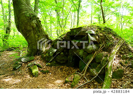 獅子ヶ鼻湿原　東北　秋田県 42883184