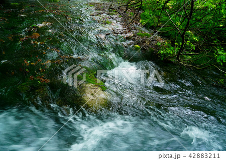 獅子ヶ鼻湿原 東北 秋田県 獅子ヶ鼻湿原 東北 秋田県 42883211