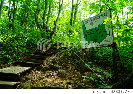 獅子ヶ鼻湿原 東北 秋田県 獅子ヶ鼻湿原 東北 秋田県 42883223