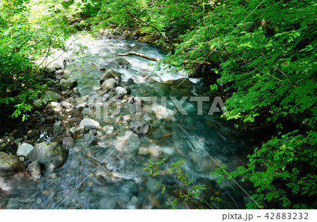 獅子ヶ鼻湿原　東北　秋田県 42883232