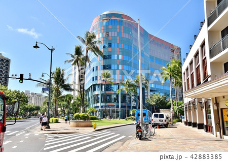 ハワイの休日 42883385