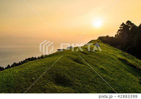 都井岬　扇山の夕暮れ　【宮崎県串間市】 42883399