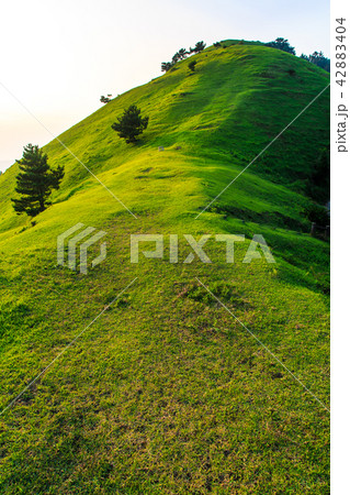 都井岬　扇山の夕暮れ　【宮崎県串間市】 42883404