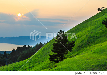 都井岬 扇山の夕暮れ 【宮崎県串間市】 都井岬 扇山の夕暮れ 【宮崎県串間市】 42883423