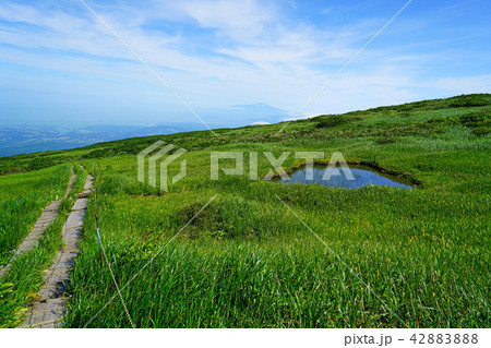 月山弥陀ヶ原　東北　山形県 42883888