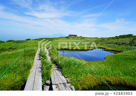 月山弥陀ヶ原　東北　山形県 42883903