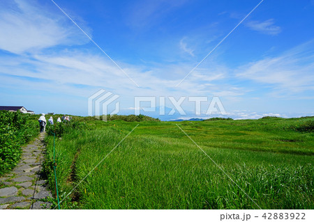 月山弥陀ヶ原　東北　山形県 42883922