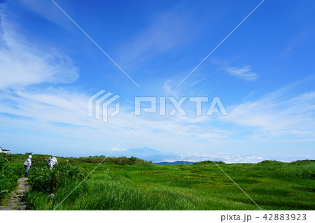 月山弥陀ヶ原 東北 山形県 月山弥陀ヶ原 東北 山形県 42883923