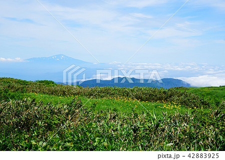 月山弥陀ヶ原 東北 山形県 月山弥陀ヶ原 東北 山形県 42883925