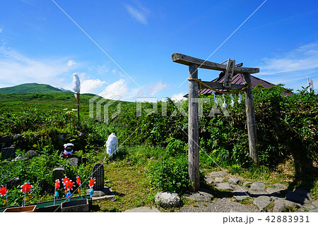 月山弥陀ヶ原 東北 山形県 月山弥陀ヶ原 東北 山形県 42883931
