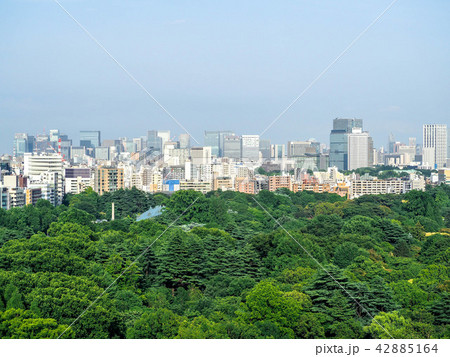 新宿御苑の先にある都心遠景 新宿御苑の先にある都心遠景 42885164