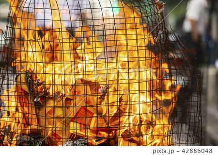 中国 チャイナ 磁器 42886048