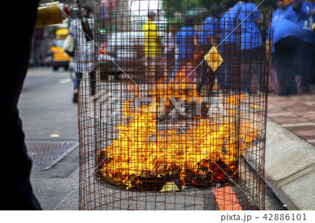 中国 チャイナ 磁器 42886101