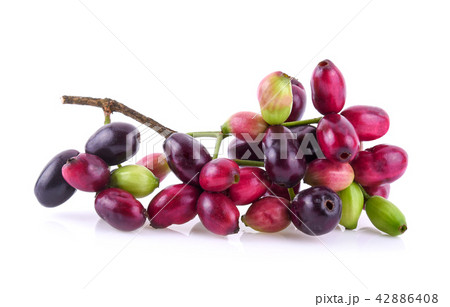 Jambolan plum or Java plum isolated on white 42886408