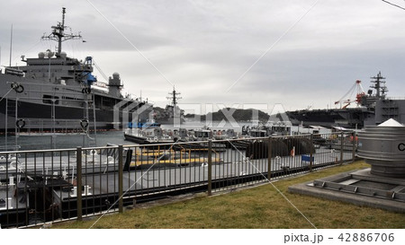 横須賀基地 横須賀基地 42886706