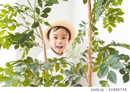 やんちゃな幼稚園児 やんちゃな幼稚園児 42886748