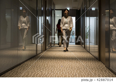 会社の廊下 42887014