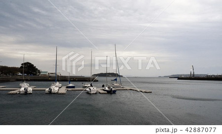 横須賀基地のヨットハーバーから猿島、東京湾を望む 42887077