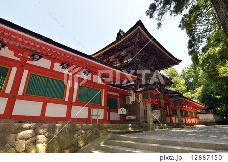 石上神宮 楼門 石上神宮 楼門 42887450