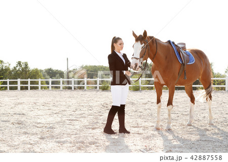 Rider elegant woman riding her horse outside 42887558
